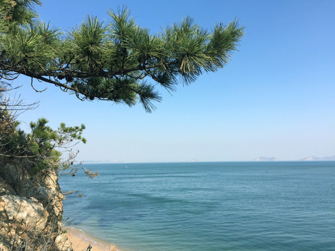 大連海灣風(fēng)光