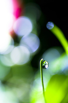 水滴