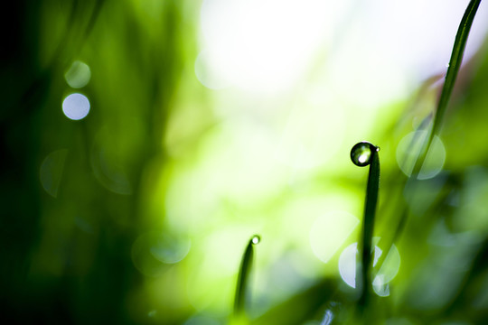 夢幻水滴