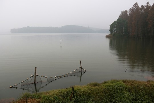 梅園風(fēng)景