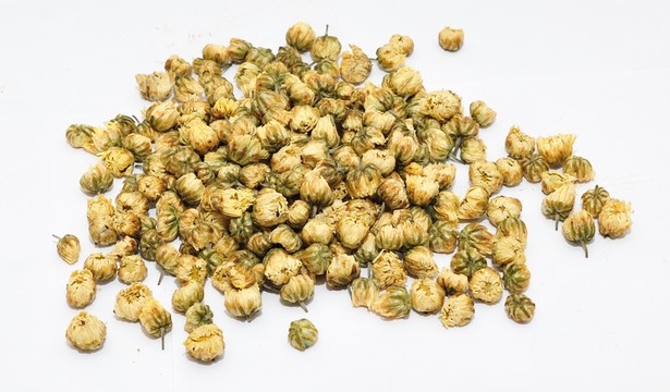菊花茶 甘菊