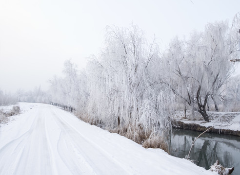 雪景
