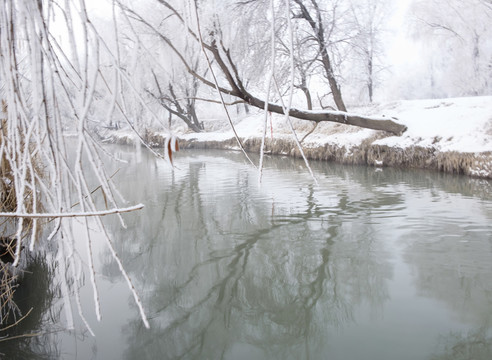雪景