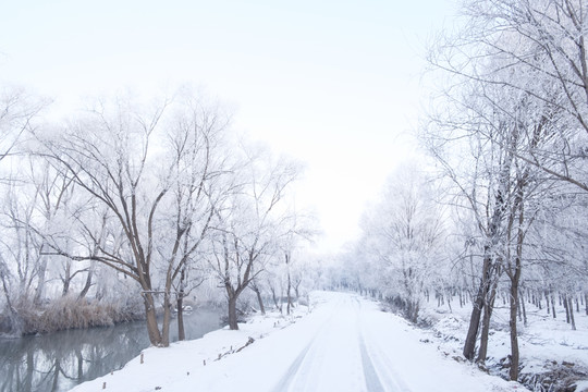 雪景