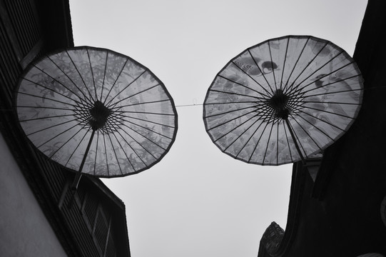 油傘