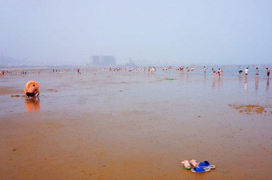海灘 趕海