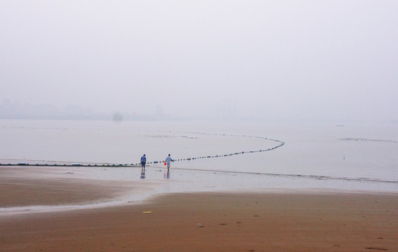 趕海