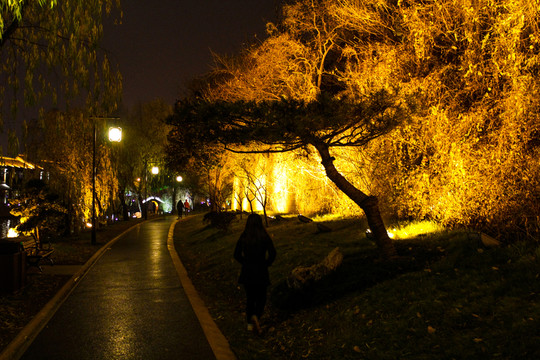 夜跑 跑步 健身
