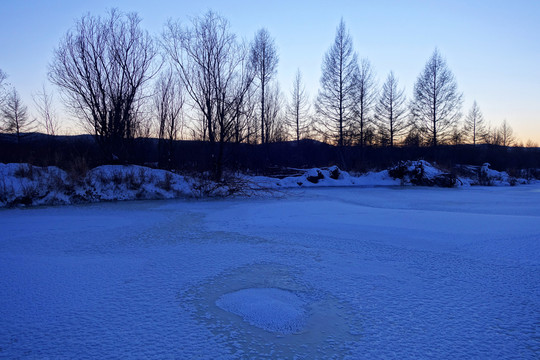 冰河樹林雪景