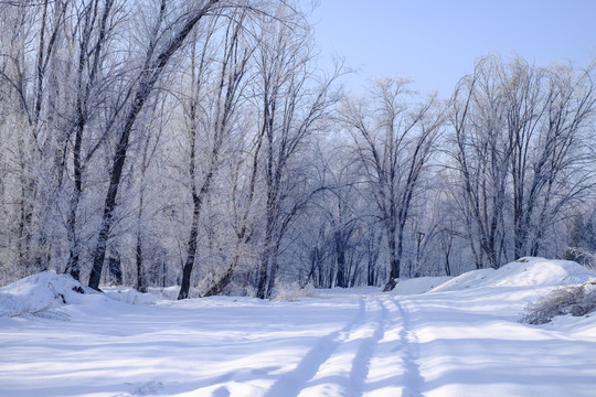 雪中小路