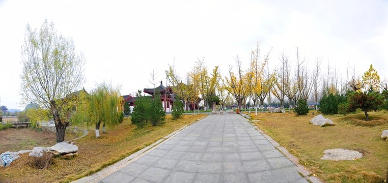 公園風(fēng)景