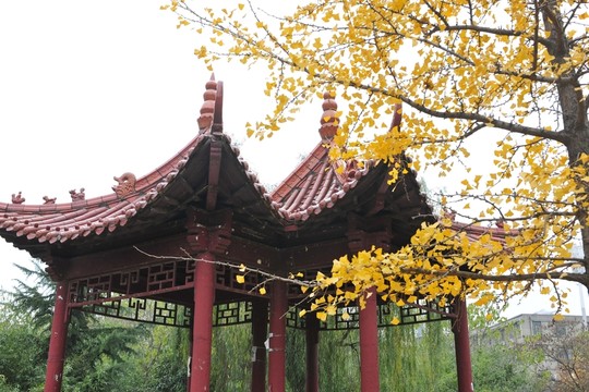 涼亭 四角亭 仿古建筑