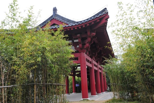 公園建筑  竹子