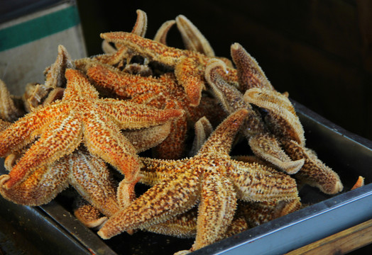 美食海星