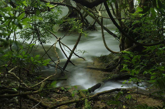 山澗溪流
