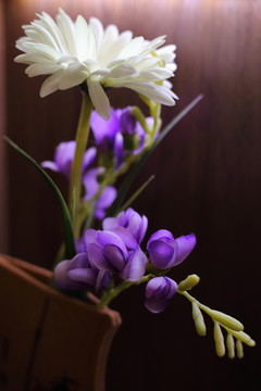 花卉