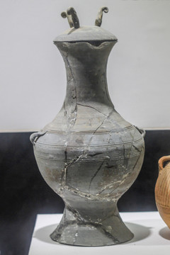 陶洗
