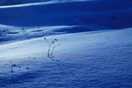 雪韻