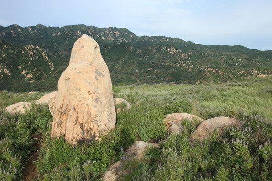 山村