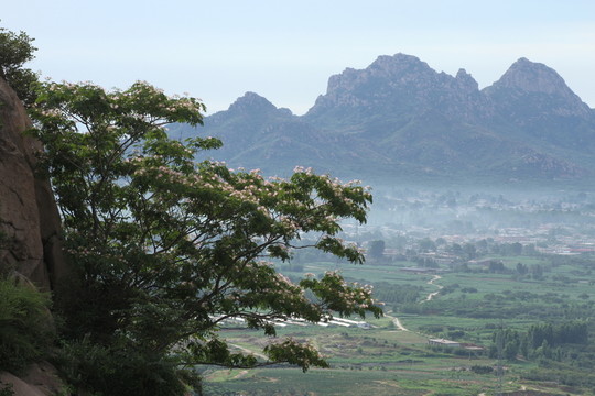 山村