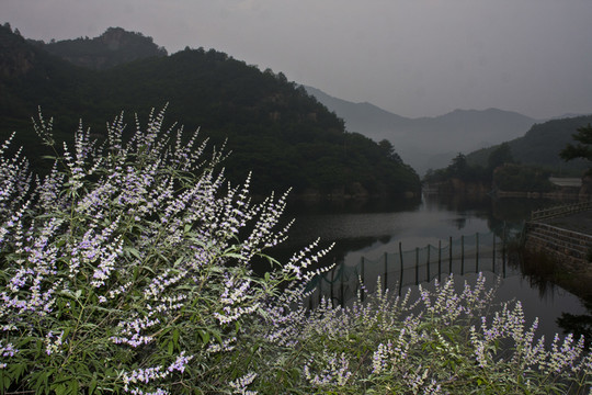 山村