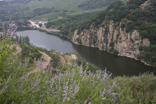 山村