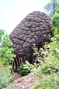 石寶山 石鐘