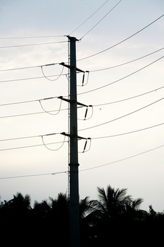 電線桿