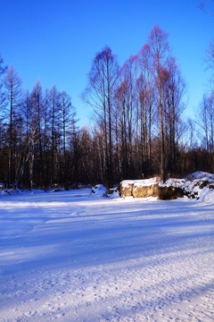 雪原山林