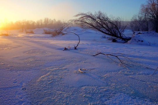 雪原晨光