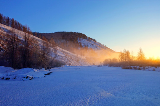 雪原樹林日出時(shí)的風(fēng)景