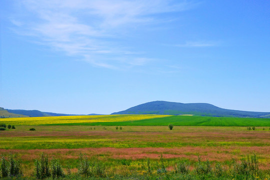 農(nóng)田風(fēng)景