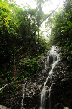 昌化江之源