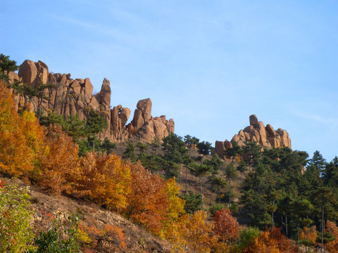 山野