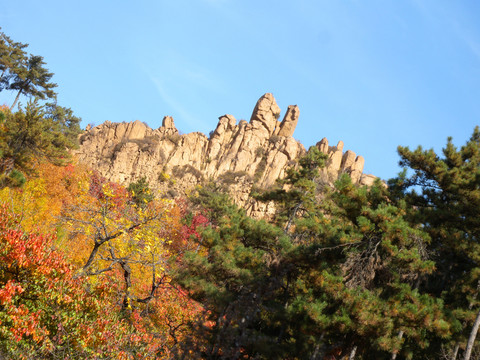 山野