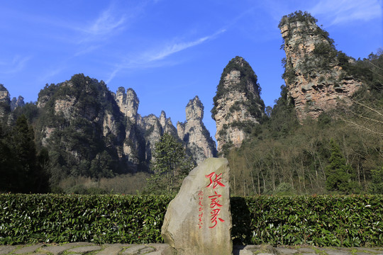 張家界國家森林公園