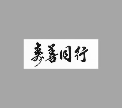 壽善同行