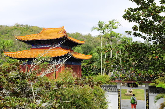 樓閣 棕櫚樹