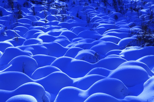 雪景