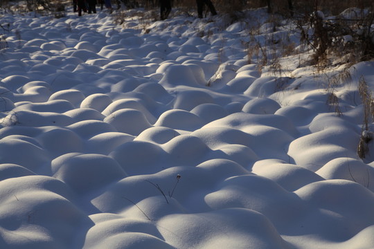 雪地 雪饅頭