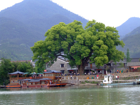 碼頭水鄉(xiāng)