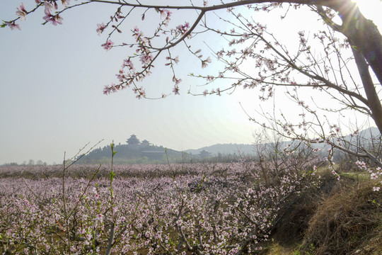 田園風(fēng)光