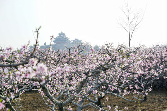 田園風(fēng)光