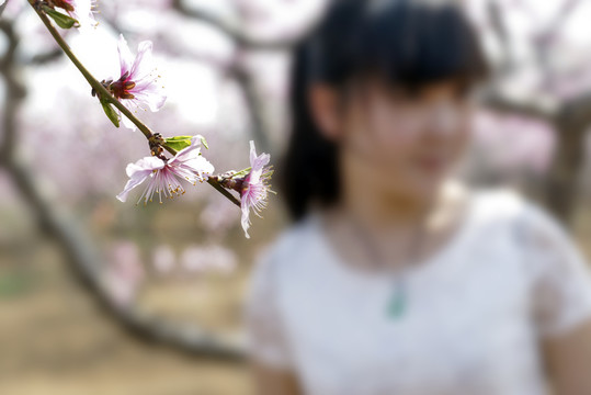 一枝花