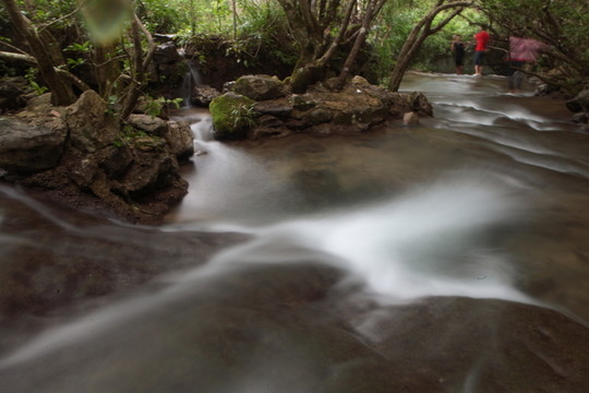小七孔 水上森林