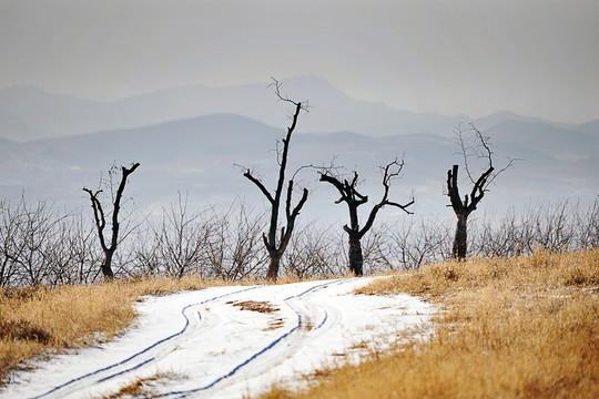 遠(yuǎn)山雪地