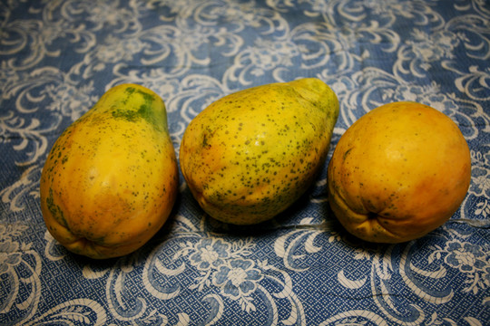 木瓜