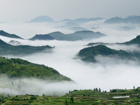 茗岙云海