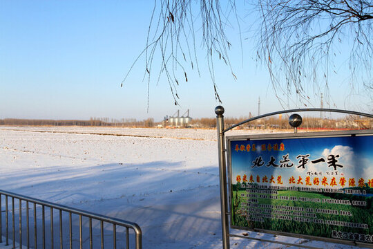 冬天 雪 原野 田野 冷色 冰