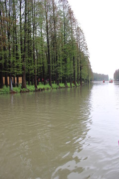 興化李中水上森林公園